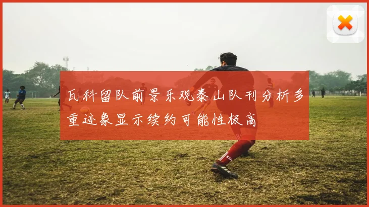 瓦科留队前景乐观泰山队刊分析多重迹象显示续约可能性极高