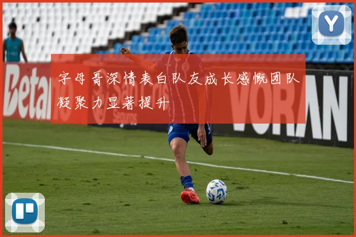 字母哥深情表白队友成长感慨团队凝聚力显著提升