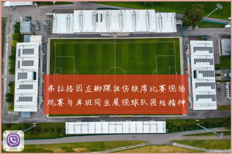 弗拉格因左脚踝扭伤缺席比赛现场观赛与库班同坐展现球队团结精神
