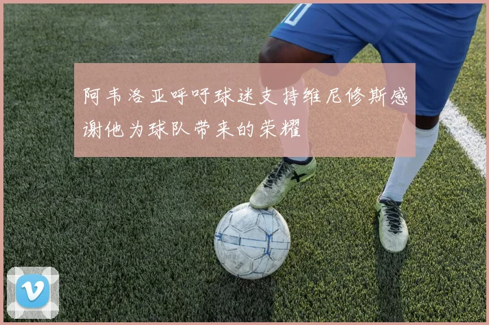 阿韦洛亚呼吁球迷支持维尼修斯感谢他为球队带来的荣耀